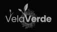 VelaVerde – Dikey Tarım Markası İçin Logo Tasarımı