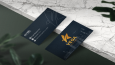 Vega İnşaat Logo Ve Kartivizit Tasarımı