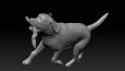 3D Baskı Modeller