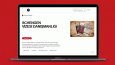 Vize Danışmanlık Web Sitesi
