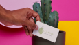 Lumina Ceramics | Minimalist El Sanatları Marka Kimliği