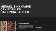 Bukalemun Kahve Firması Site Tasarımı
