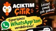 içerik üretimi + UGC + Reels + işletme/marka tanıtımı.