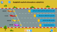 Articulate Storyline