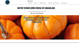 Web Tasarım