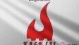 PROFESYONEL LOGO TASARIMI