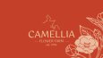 Camellia - Kurumsal Kimlik Tasarımı