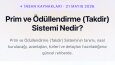 SEO Uyumlu Blog İçeriği