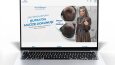 Wordpress web site