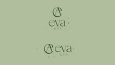 Eva İplik- Logo ve Kurumsal Kimlik Tasarımı