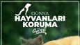 Sosyal Medya Tasarımlarım