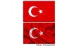Fotoğraf üzerinde renk değişimi
