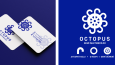 Octopus - Logo Tasarımı