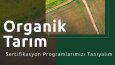 Profesyonel Sosyal Medya Tasarımları
