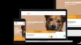 Responsive (Mobil Uyumlu)Web Sitesi