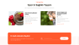 Taşhangar Web Sitesi Tasarımı
