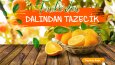 Banner Tasarımı