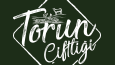 Logo Tasarımları
