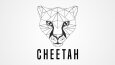 LOGO / LOGOTYPE
