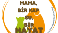 sticker tasarımı