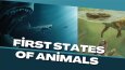 Youtube Thumbnail Tasarımı