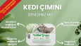 Sosyal medya tasarımları