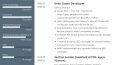 PROFESYONEL CV VE COVER LETTER TASARIMI