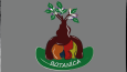 Sıra dışı logo tasarımları