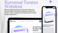 Kurumsal Web Sitesi Kurulumu