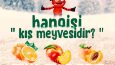 SOSYAL MEDYA POST TASARIMLARI