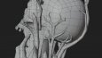 3D LANTERN SKULL (GAME READY)