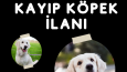 Hayal Et Ben Tasarlıyayım