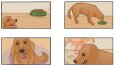 storyboard tasarımı