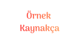Akademik Metin Redaksiyonu ve Biçimlendirme Çalışması