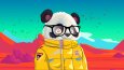 Panda NFT Serisi