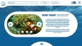 Konsept Websitesi Tasarımları