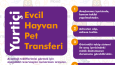 Zirve Pet Taksi Sosyal Medya Tasarımları