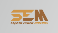 Firmanıza özel profesyonel bir logo çıkaracağım