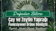 SOSYAL MEDYA TASARIMLARI 