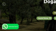 Wordpess WhatsApp ve Canlı Destek Ekleme