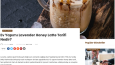 sKahve konsepti blog Sitesi