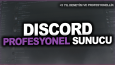 Discord sunucu örnekleri