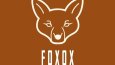 Foxox - Örnek Şirket Logo Tasarımı