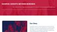 DRN Global - Logo ve Web Site Tasarımı