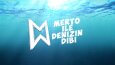 Youtube için introlar
