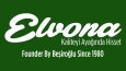 Güçlü Kimlikler İçin Profesyonel Logo Çalışmaları