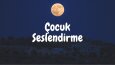 Ses örneklerim