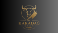Premium Logo Tasarımı