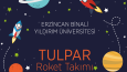 İnfografik ve Afiş Tasarımları