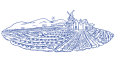 'Nova Farm' Logo Design